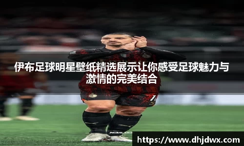 伊布足球明星壁纸精选展示让你感受足球魅力与激情的完美结合